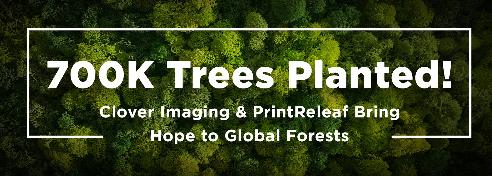 Clover Imaging's Partnership With PrintReleaf Brings Hope To Global Forests | Clover Imaging Group USA