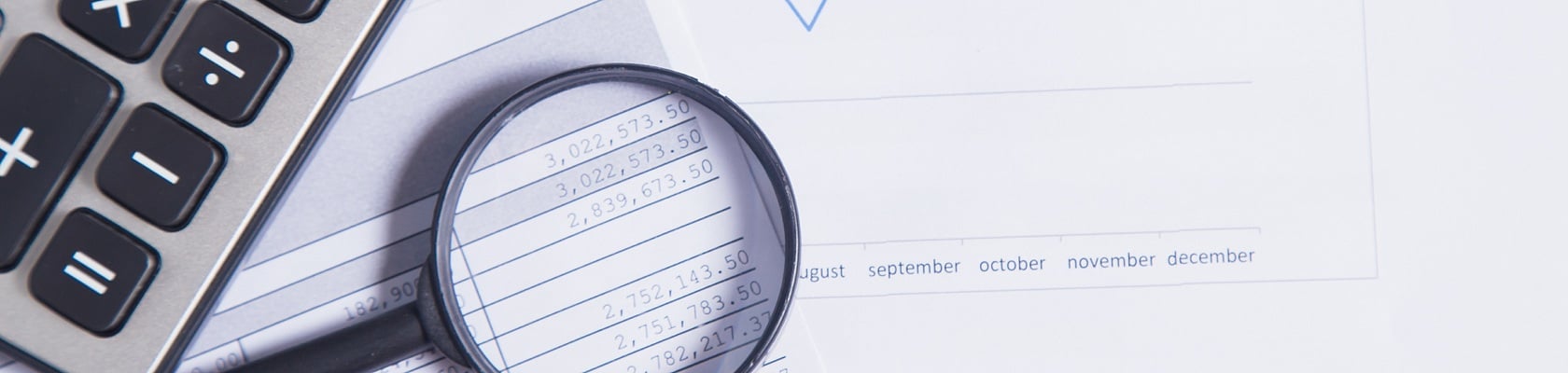 forensic accounting image