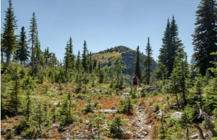 Kettle River Range