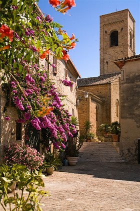 DHvillas-Torre di palme