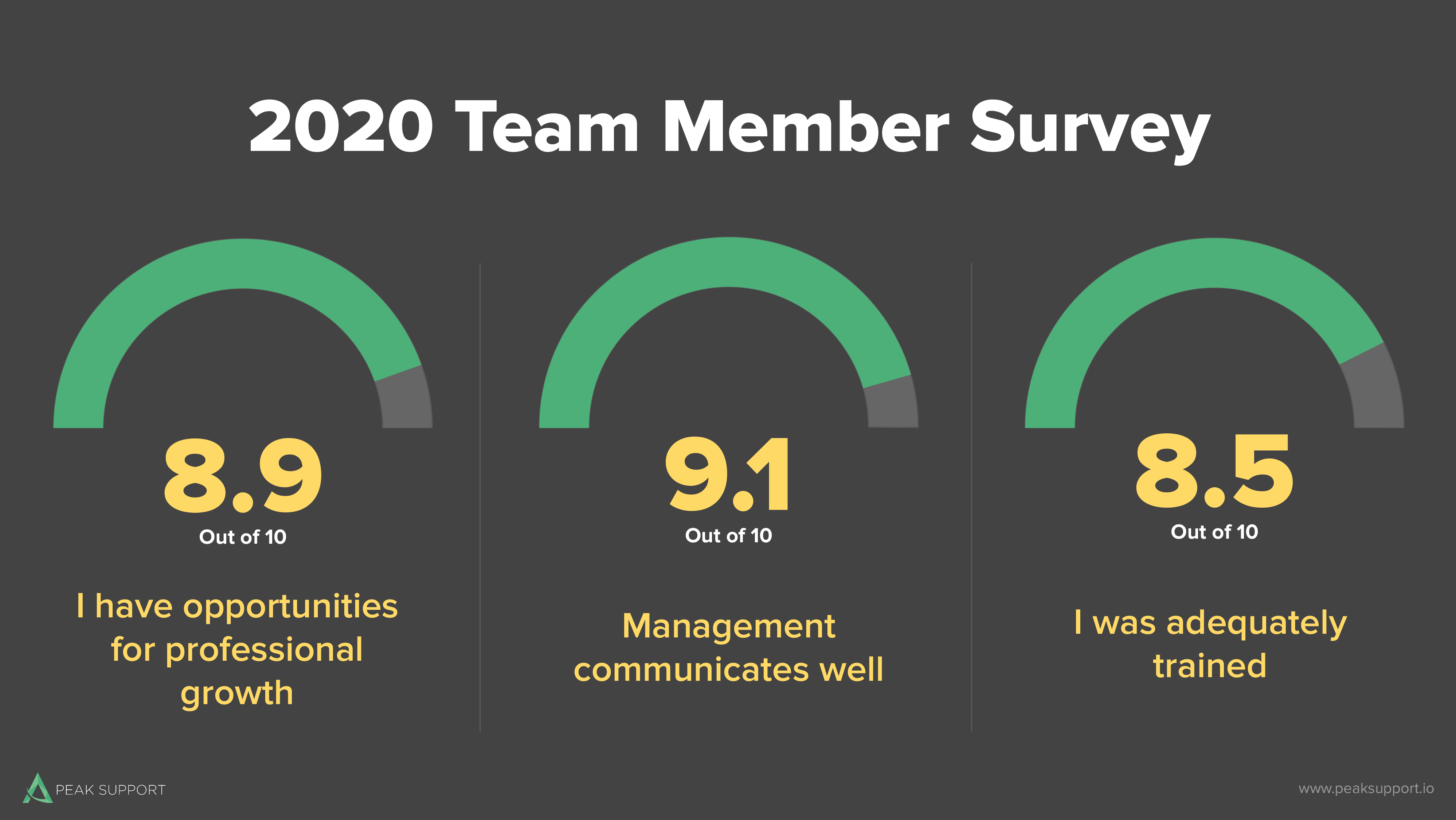 2020 Team Member Survey-2