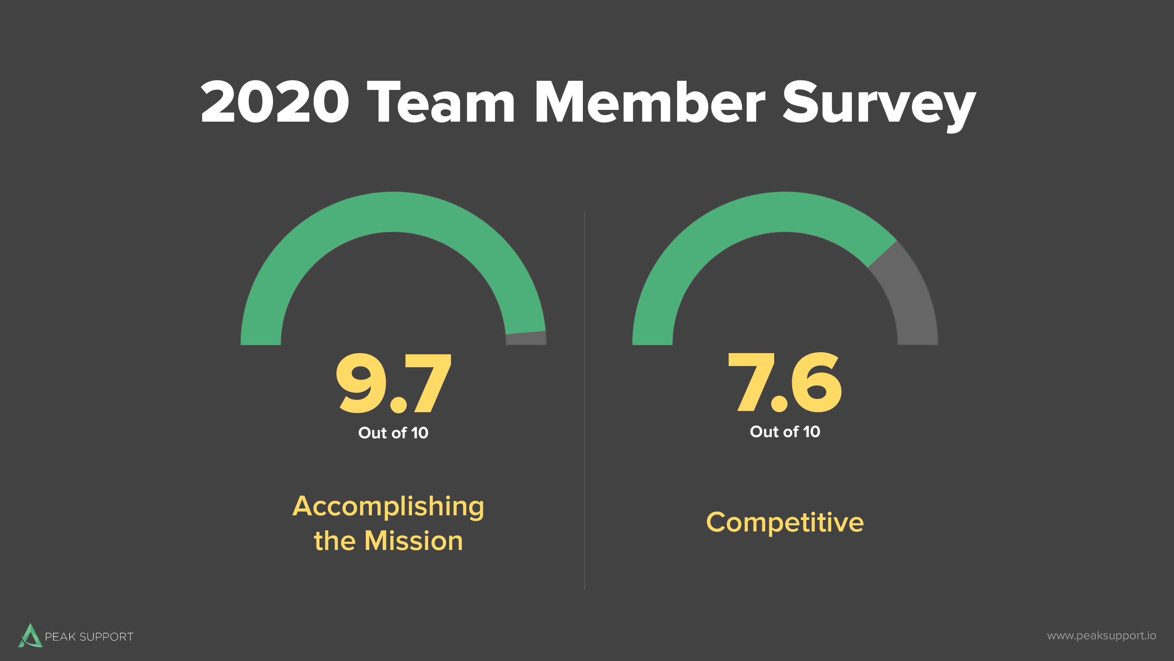 2020 Team Member Survey-3