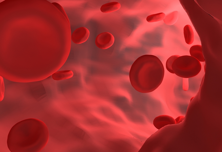 May 03 - Blood Stem Cells Boost Immunity