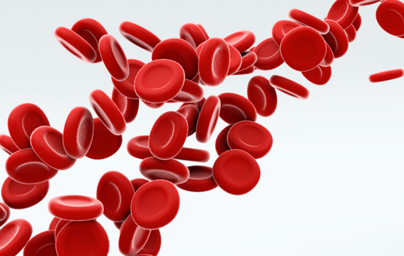 Nov12-Cord-Blood-Rich-Source-of-Hematopoietic-Stem-Cells
