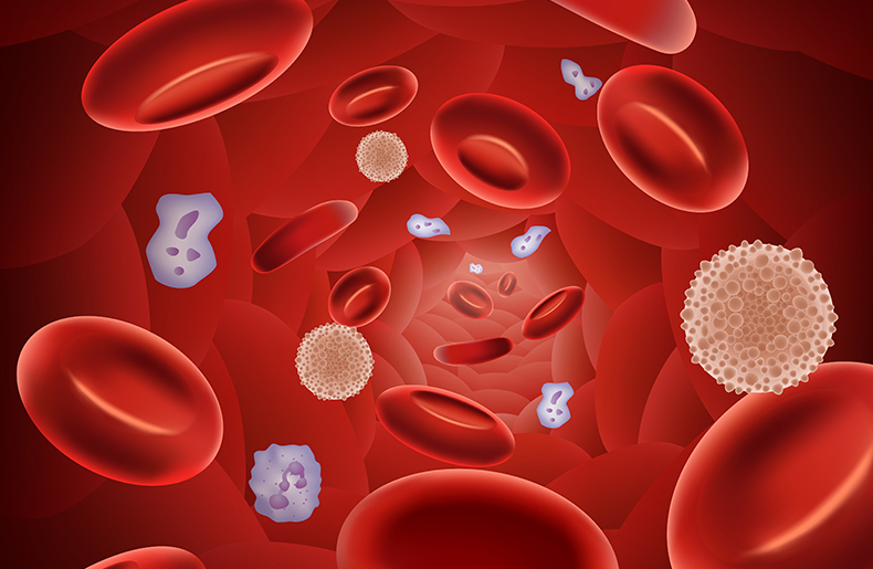 Sep08-Cord-Blood-Stem-Cells-for-Blood-Cancers