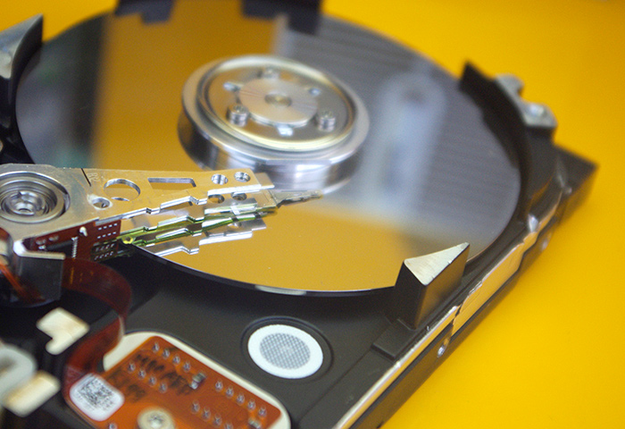 imagen dinosaurio evidencia Cómo formatear un disco duro | Windows y Mac | AVG