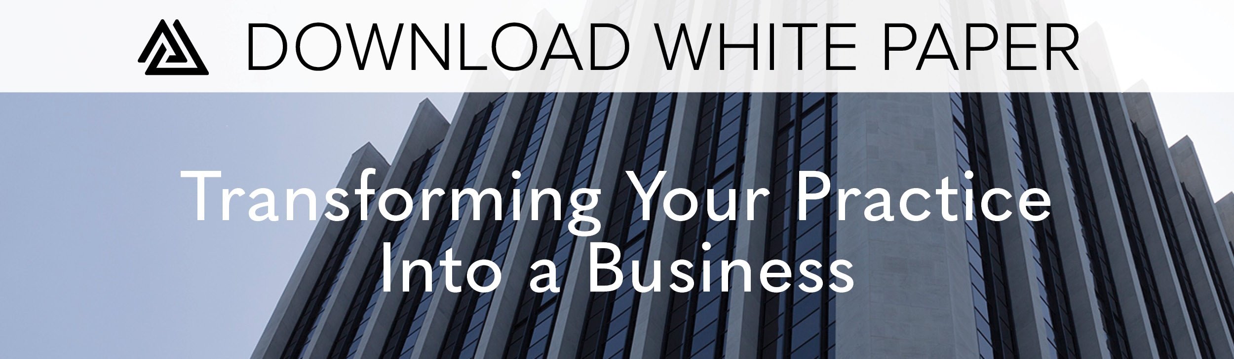 Download White Paper: Transforming Your Practice Into a Business