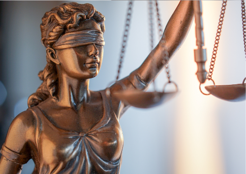 Expert Witness Maritime Security