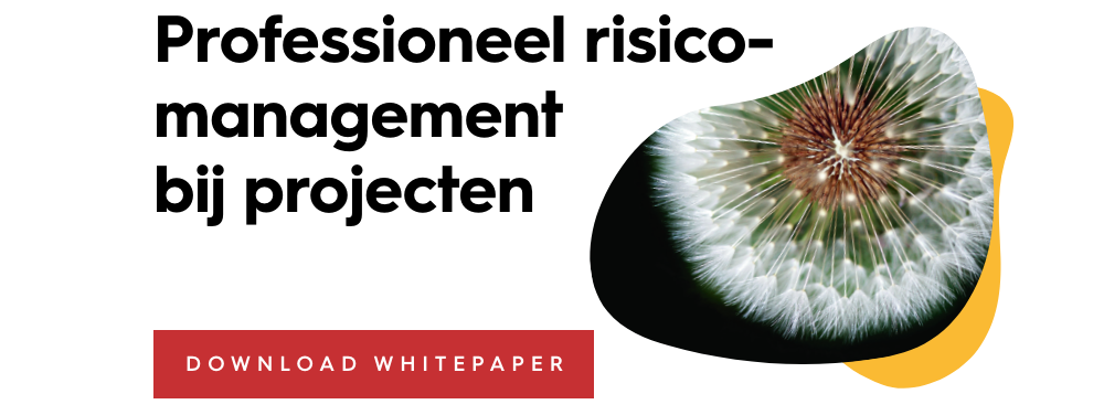 Download whitepaper Professioneel risicomanagement bij projecten
