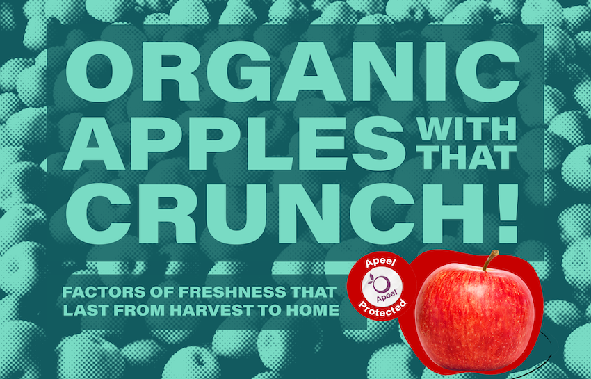 2021 Organic Apple Fresh Trends data