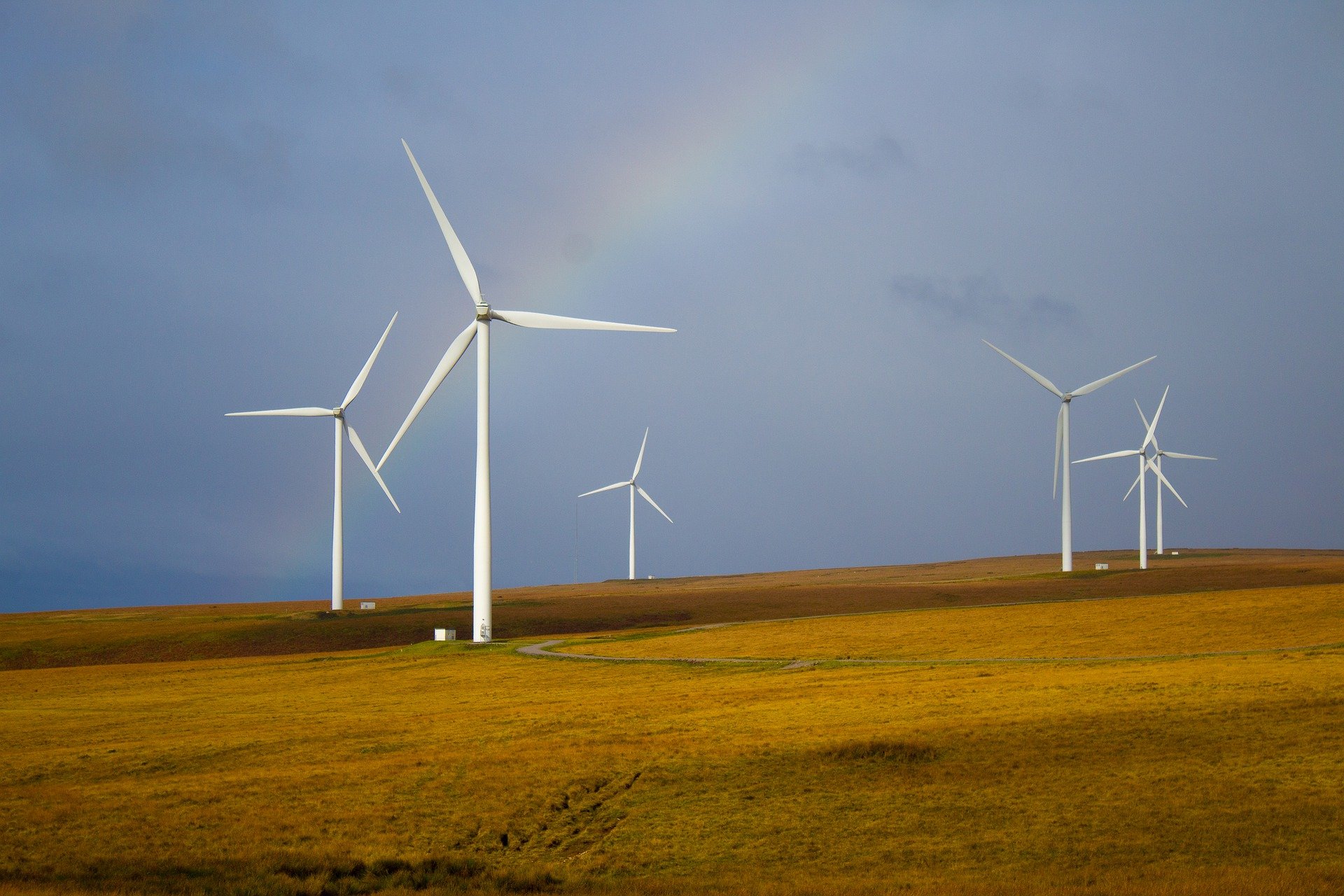 Wind Farm Renewable Energy