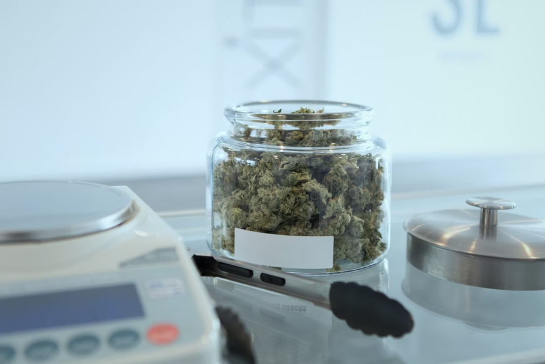 Navigating HR and Employment Laws for your Cannabis and Marijuana Business