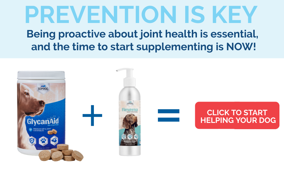 at what age should i give my dog joint supplements