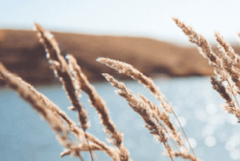 Environmental-and-resource-management2-1