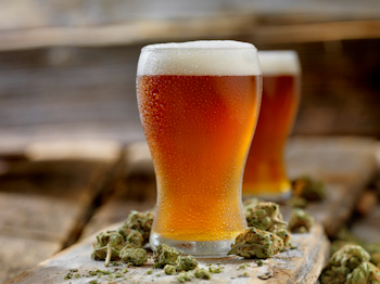 Beer versus Buds