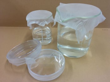 Parafilm used on lab glassware