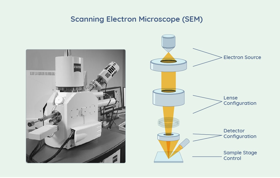 latest electron microscope