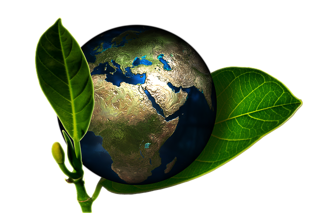 Eveil écologique