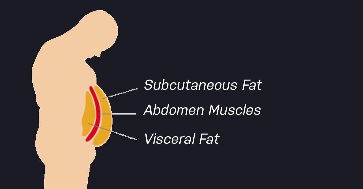 Internal Fat