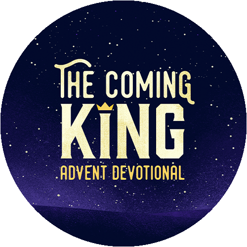 light-in-the-night-christmas-experience-crossing