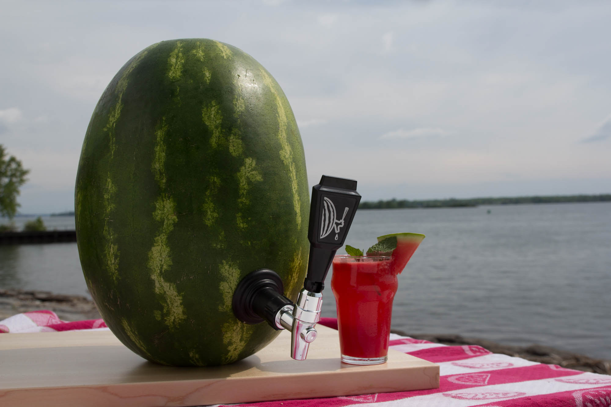 Soak up Summer Fun with a Watermelon Keg!