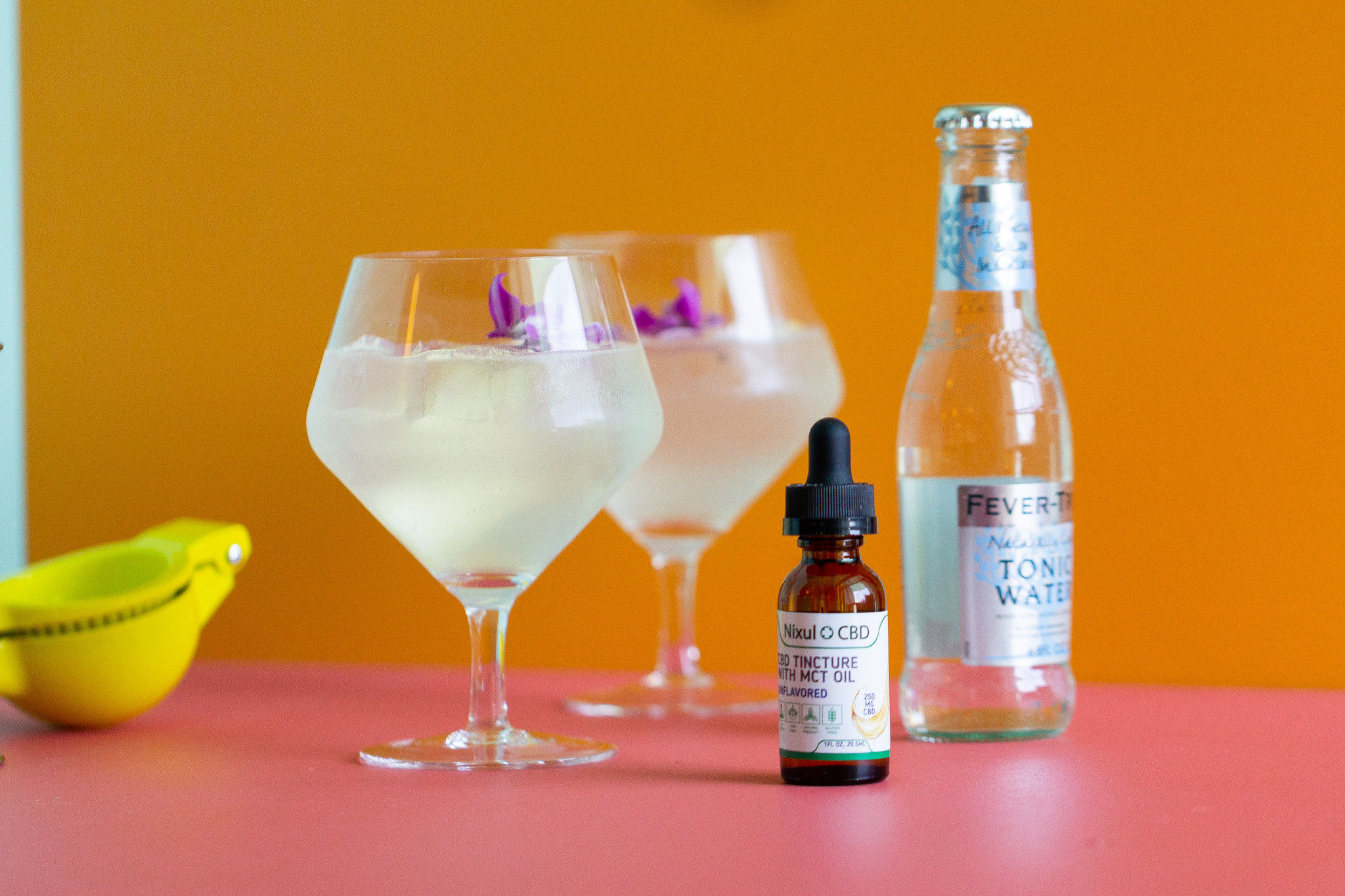 CBD Gin & Tonic Recipe