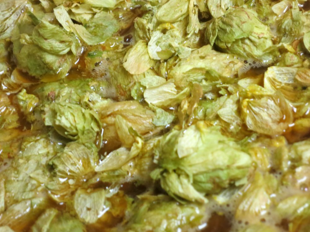 hop addition