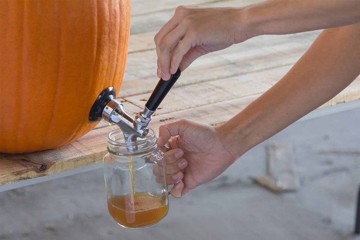 Spiced Pumpkin Punch Recipe