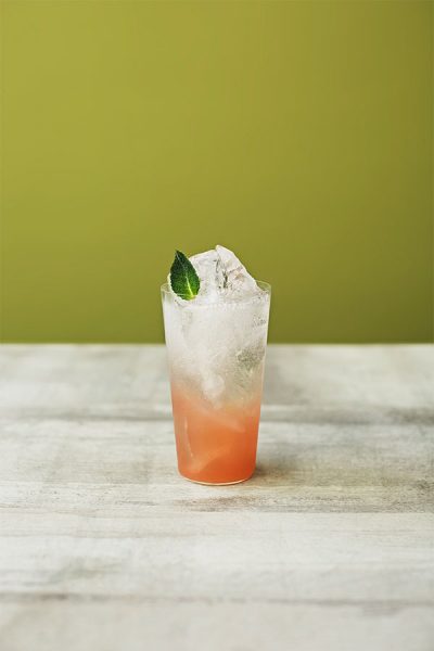 Mint Cooler Seedlip Recipe