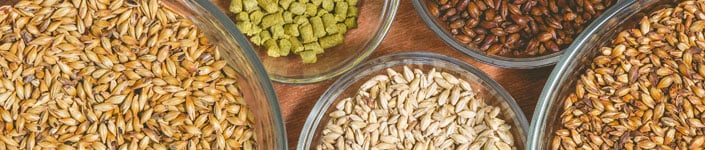 how-to-homebrew-ingredients