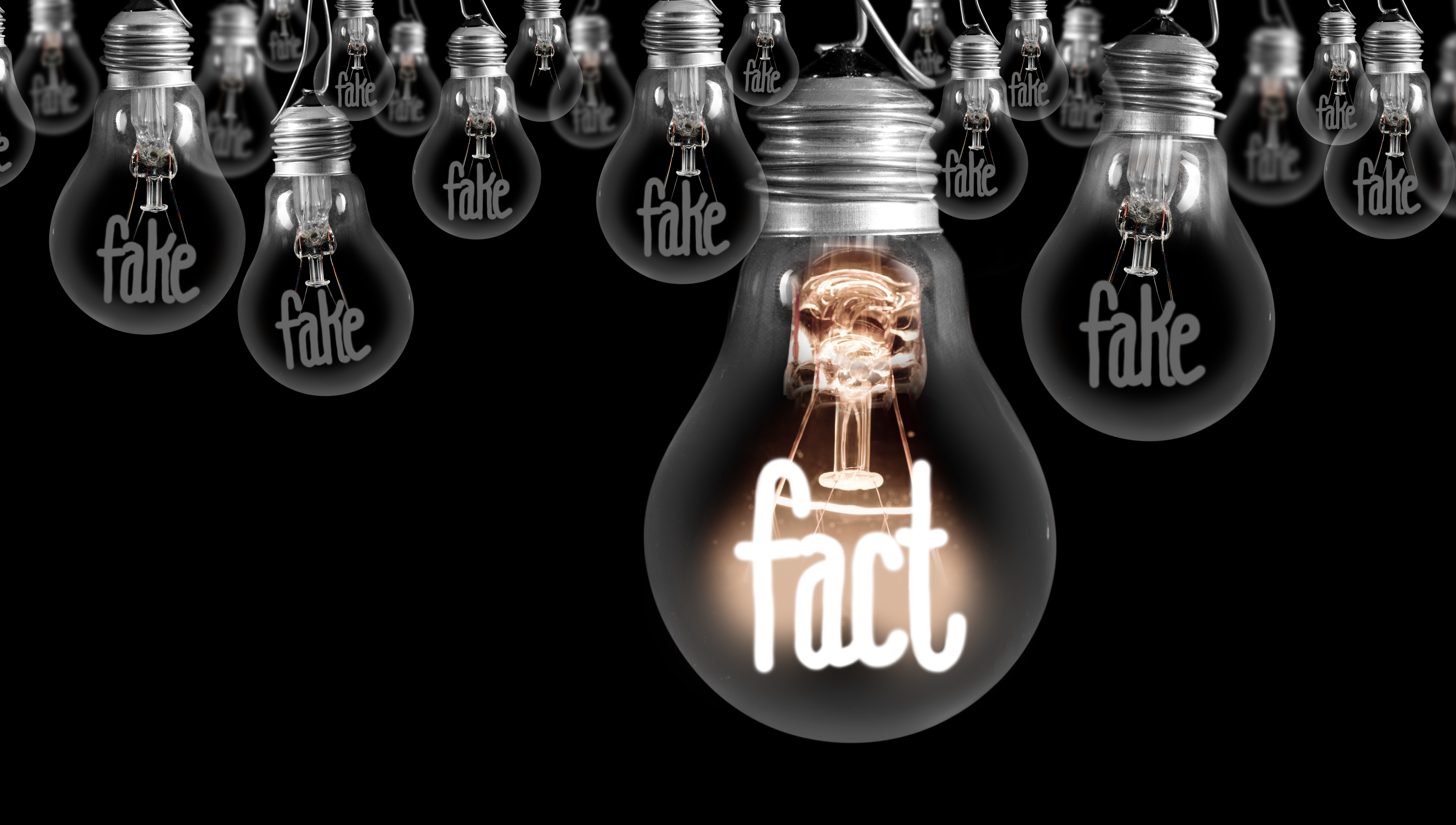 disinformation-fact-vs-fake-with-light-bulbs
