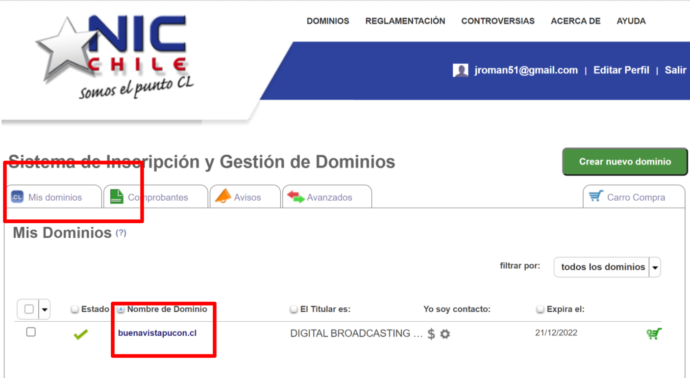 Sección Mis Dominios mostrando un dominio