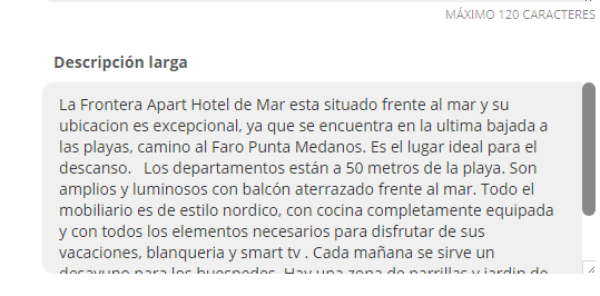 Screenshot of the 'Descripción Larga' field