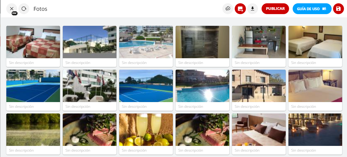 Visualización de imágenes cargadas
