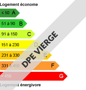 Diagnostic de performance énergétique vierge