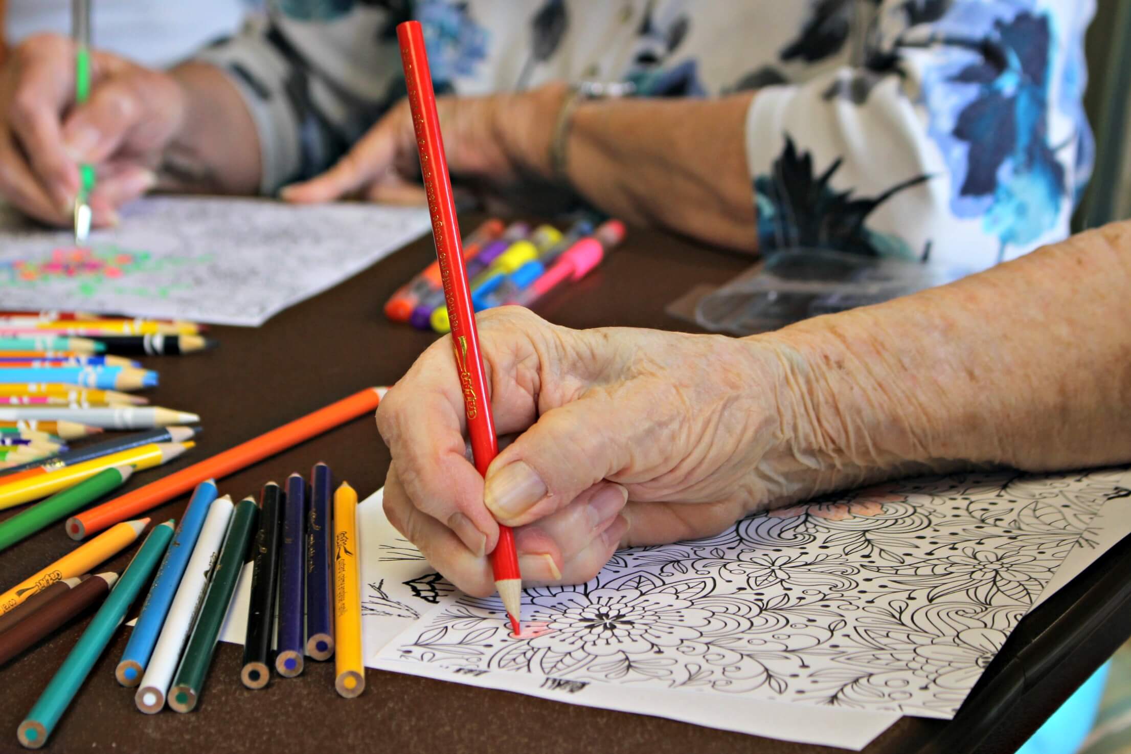 Coloring Books for Adults and the Elderly