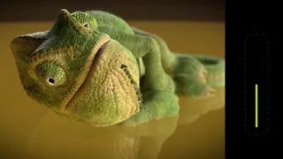 Dance with Innokin GALA