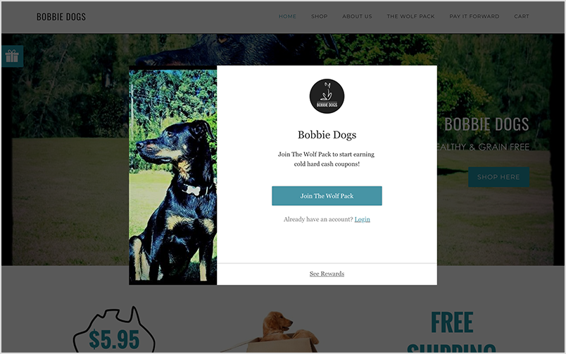 Pop-up widget that sits on Bobbie Dog's website homepage.