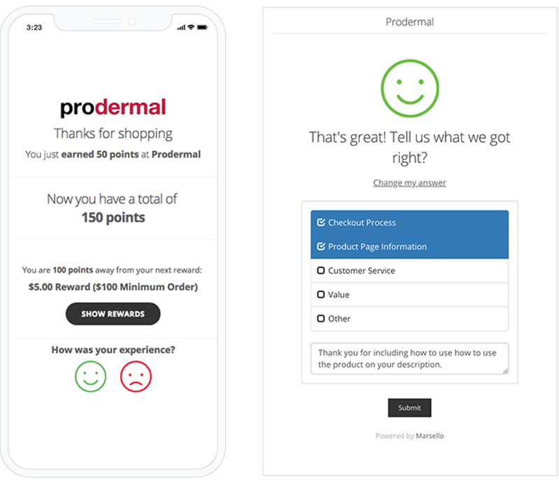 A loyalty points total email with a customer feedback survey attached.
