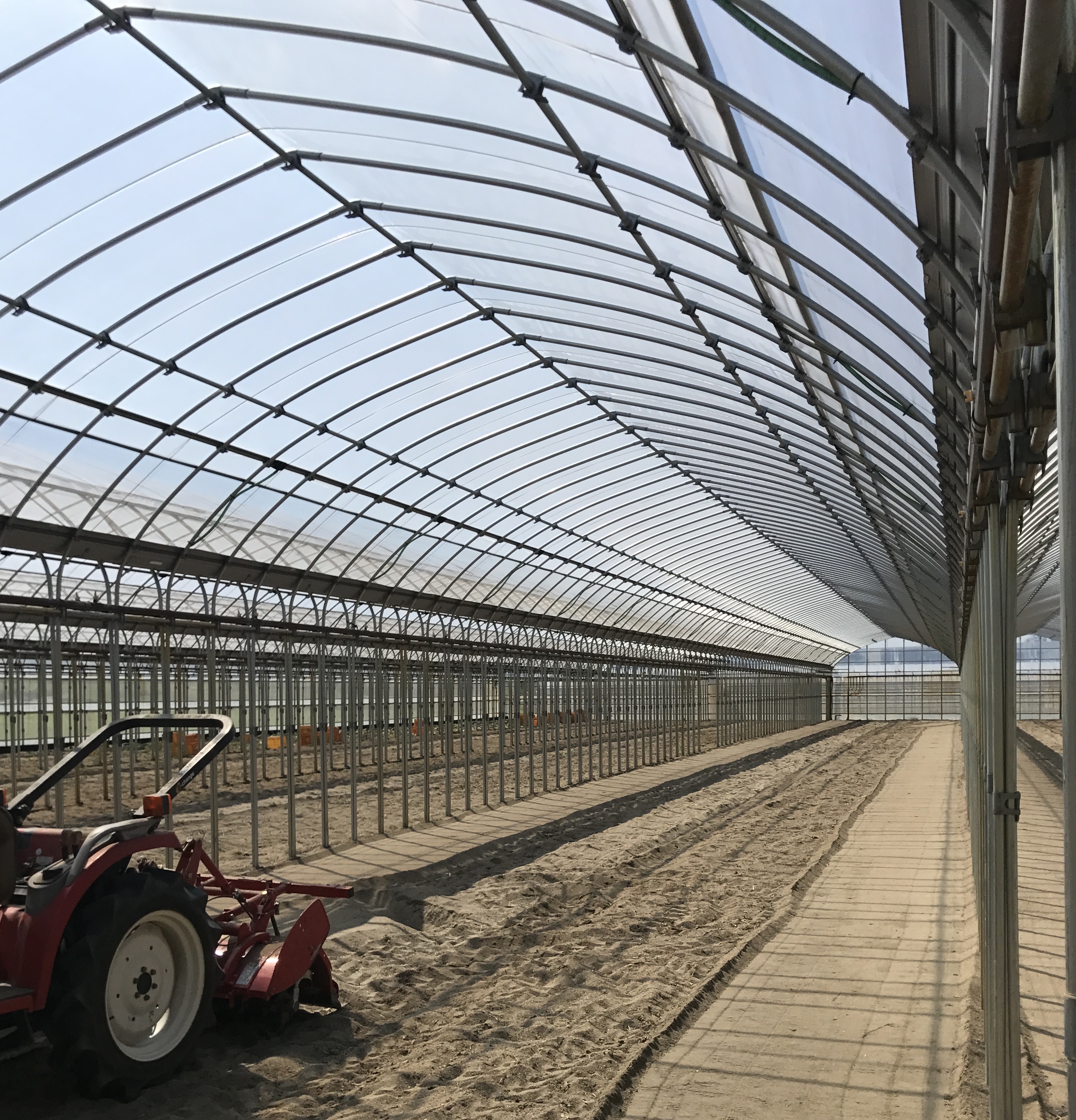 インフレでも積極投資が可能？！STXによる農業用ビニールハウスの