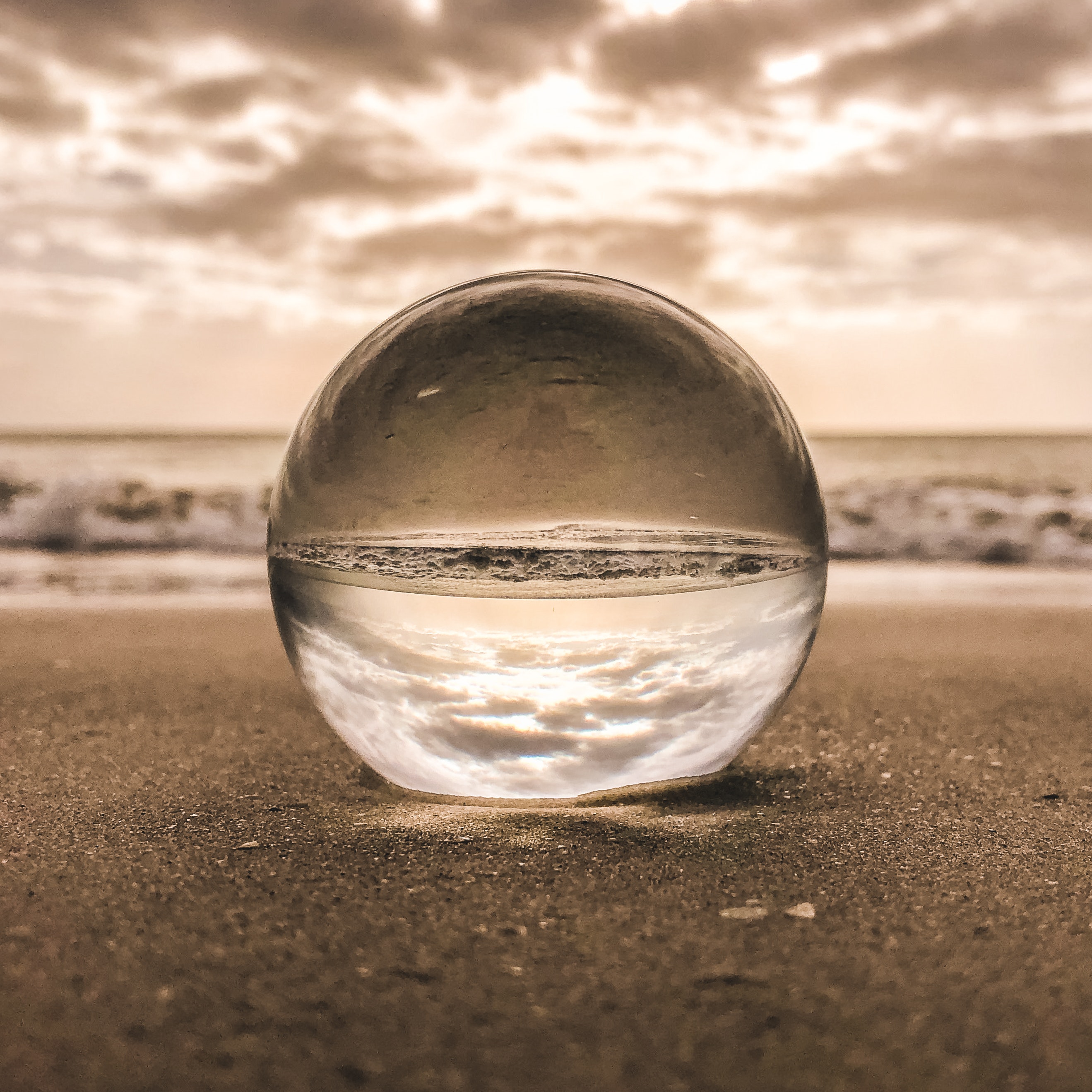 06 PIC -- transparency