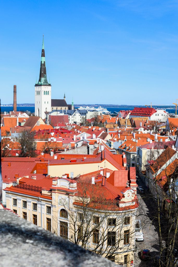 The red roofs of the city of Tallinn from above on a clear day