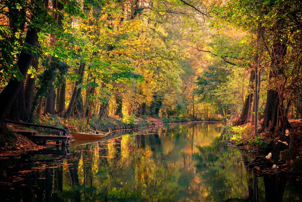 Der Spree Fluss im Spreewald im Herbst