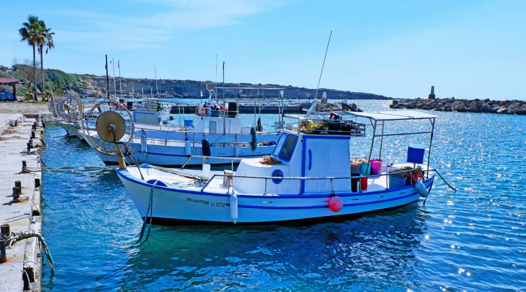 a little fischerman's boat with blue water and blue skies, palm trees in the background