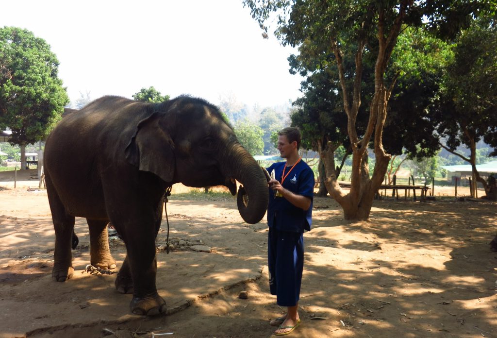 Around the world trip series of CEO, Niels feeding a banana to an elephant in blue clothes in Thailand.