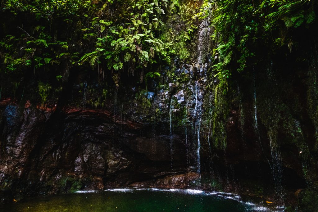 a waterfall surrounded by plants in Madeira perfect destination for spring 2021