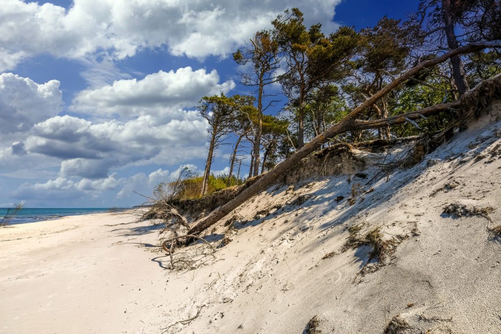 Baltic Sea beach, with blue skies, sand, and trees Destinations in Germany for Autumn 2020