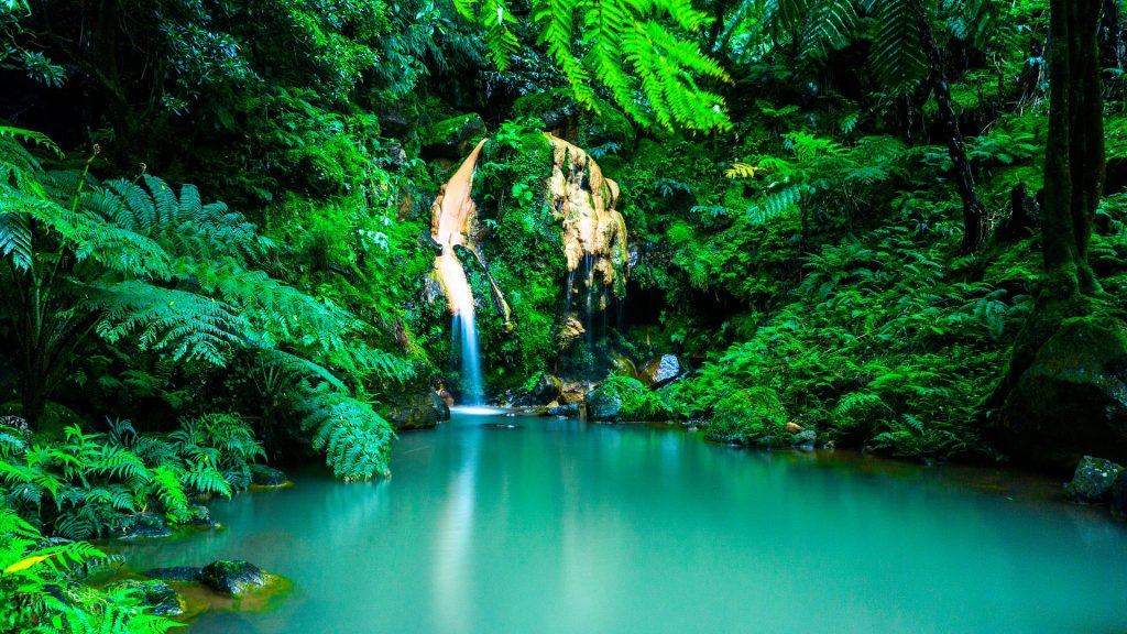 The Azores in Portugal in lush green jungle with a view of the turquoise blue water flowing down from the waterfall.