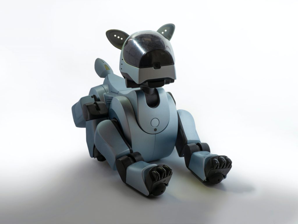 a social distancing dog robot which is a covid inspired innovation.
