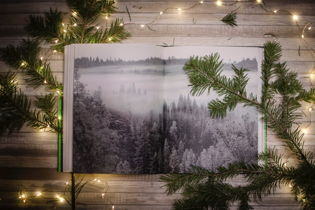 the best gifts for travel addicts: a photo book with branches and lights around it 